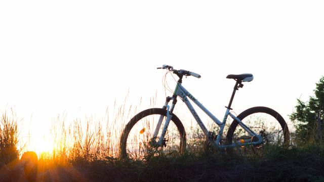 a bike on a grassy path at sunset